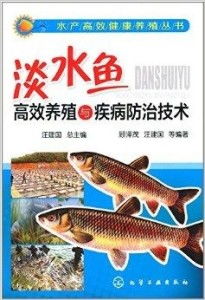 淡水魚高效養殖與疾病防治技術全攻略