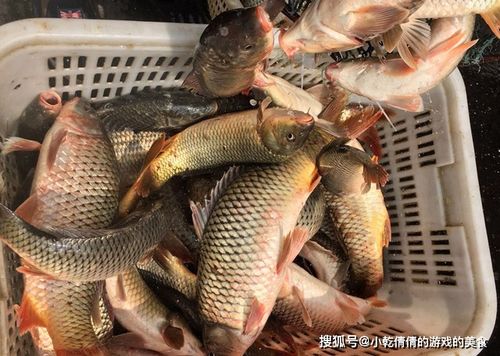 淡水魚王跌下神壇 6元一斤無人問津，背后的四個(gè)真相讓所有人沉默