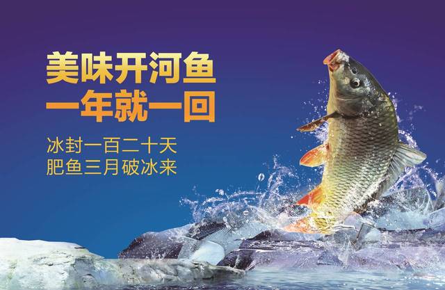 【北京福利】西貝開(kāi)河魚(yú),一年就等這一鮮!
